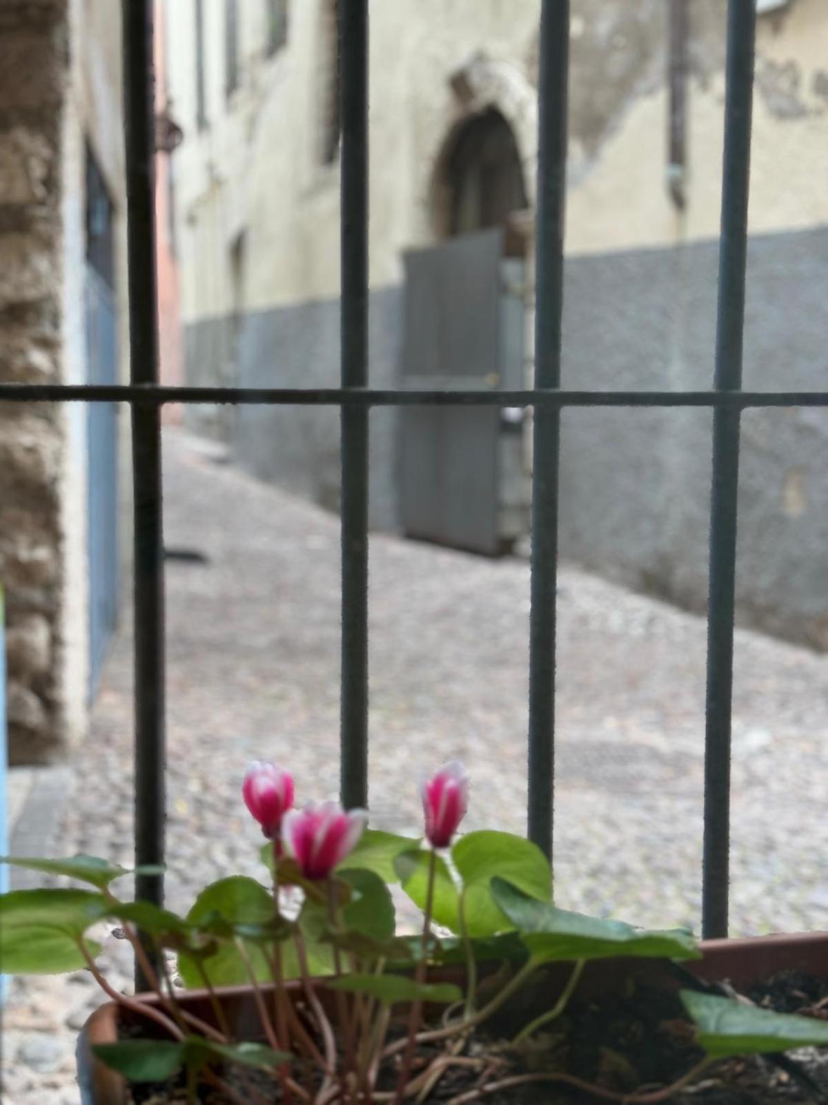 Duomo Nest Entire Apartment Trento Eksteriør bilde